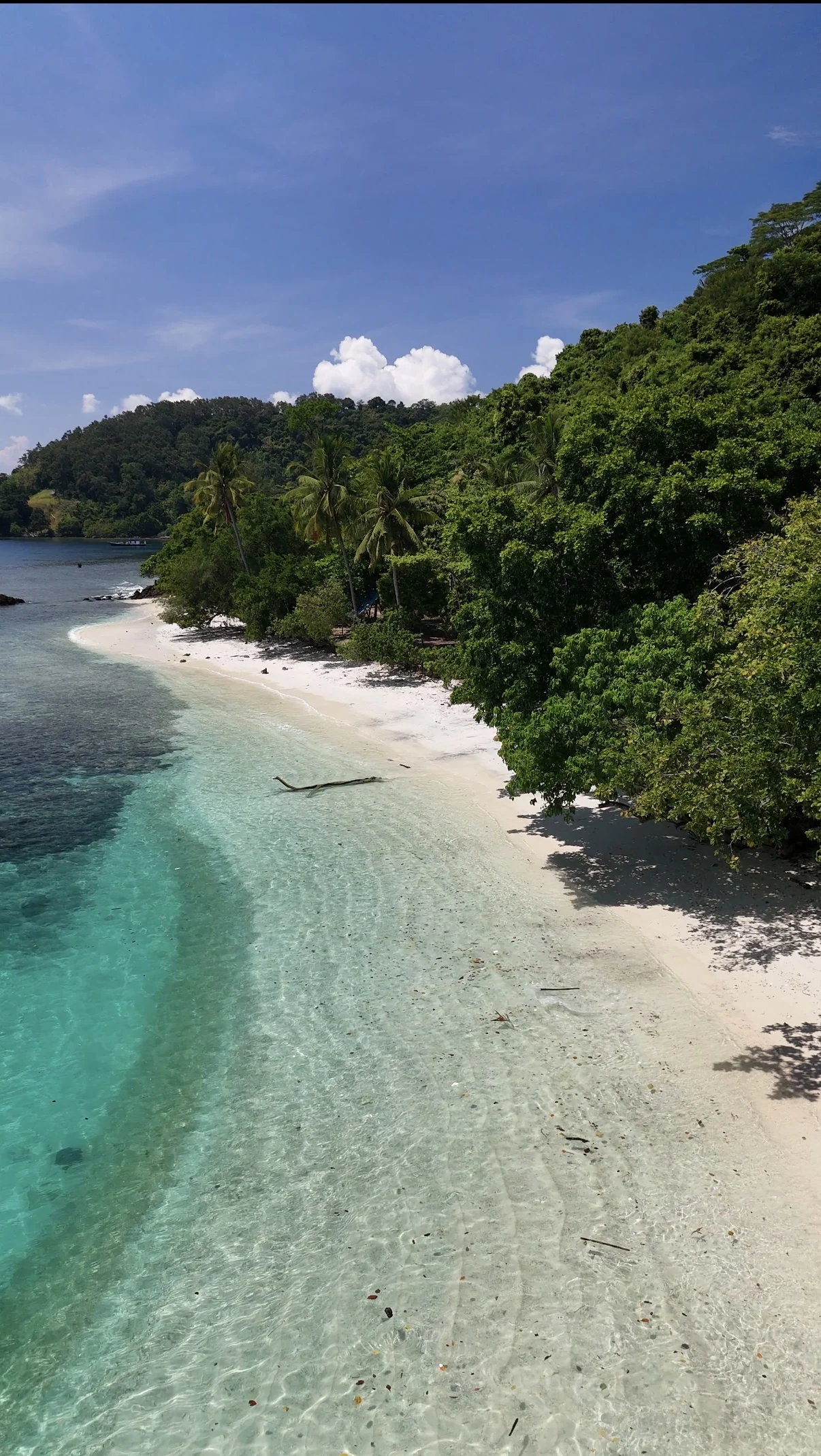 An aerial view of a curved white-sand beach backed by green forest beside clear water.