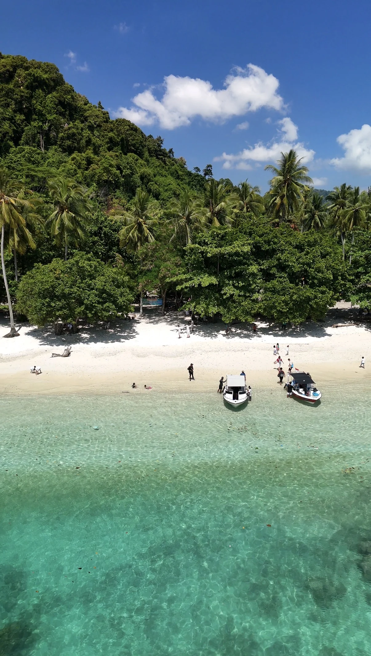 Boats and a few visitors beside an island beach backed by forest and coconut palms.