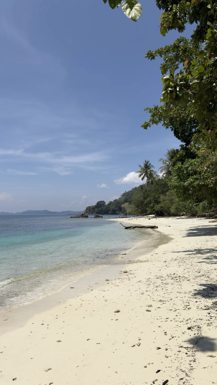 A white-sand beach beside calm water and a tree-lined shoreline.