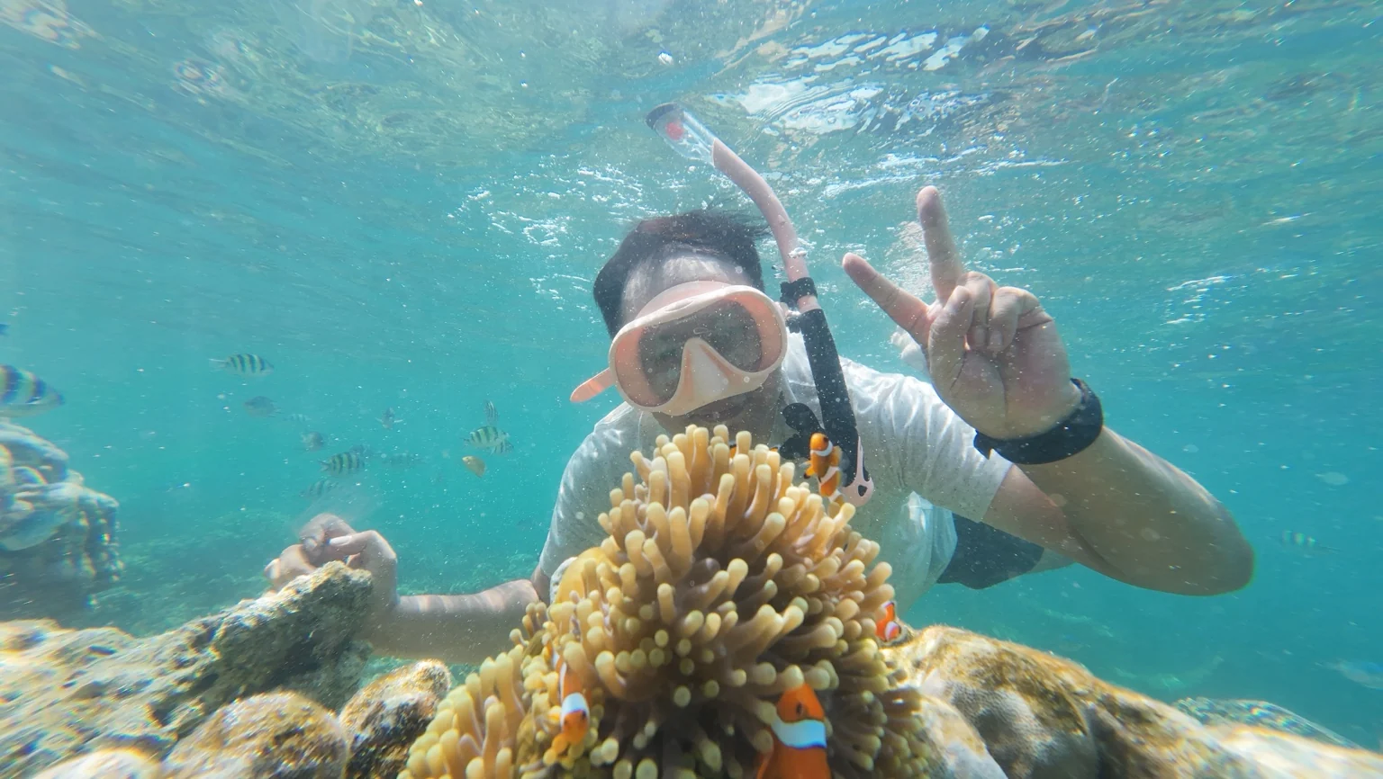 A snorkeler wearing a mask near an anemone and clownfish underwater.