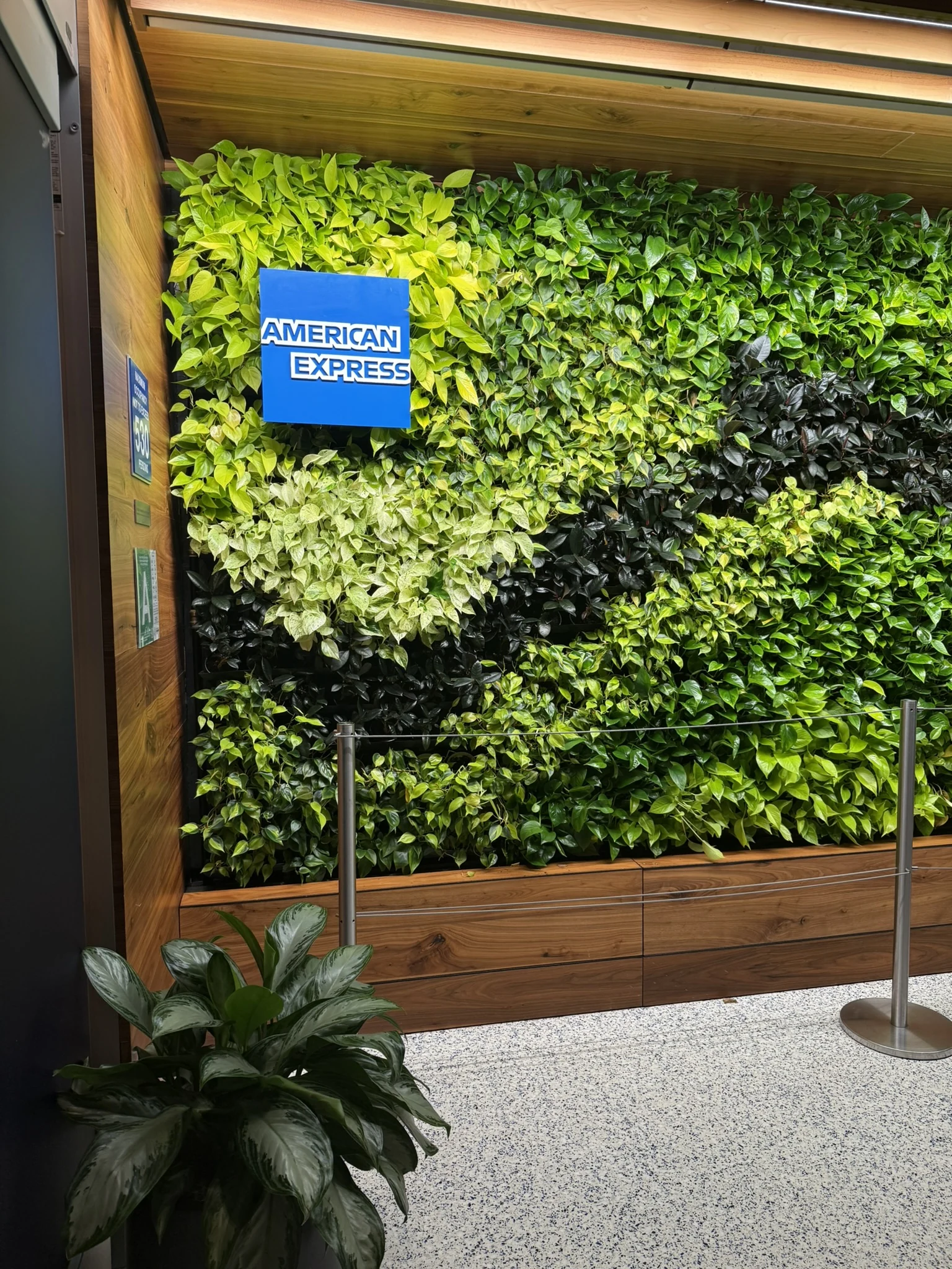 American Express sign on a wall of green plants at the Centurion Lounge in Los Angeles International Airport.